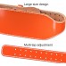 ZooBoo Leather Weight Lifting Belt Men's Belts for Home Wokouts Pullups,Powerlifting,Crossfit,Weight Training - BNK2HZ2YT