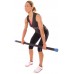 66FIT Aerobic Weighted Exercise Bars - BZIZODTN5