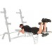 Fitness Reality X-Class Olympic Preacher Curl and Leg Developer Attachment - BA2LMR2M1