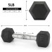 Bronze Times 20 15 10 5 LB Dumbbells Set of 2 Hex Dumbbell Free Weights Solid Steel Hand Weights Dumbbells Set PVC Encase Coating Black 25 10 5 Pound Dumbbell Weight to Choose Single or Pair - BL5N96VJ9