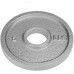Crown Sporting Goods 2-inch Olympic Style Iron Weight Plate - BGZ4VU4FG