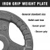 PITHAGE 35 LB 2-inch Standard Steel Grip Weight Plates Cast Iron Strength Training for Barbell - BP2MFTNY2